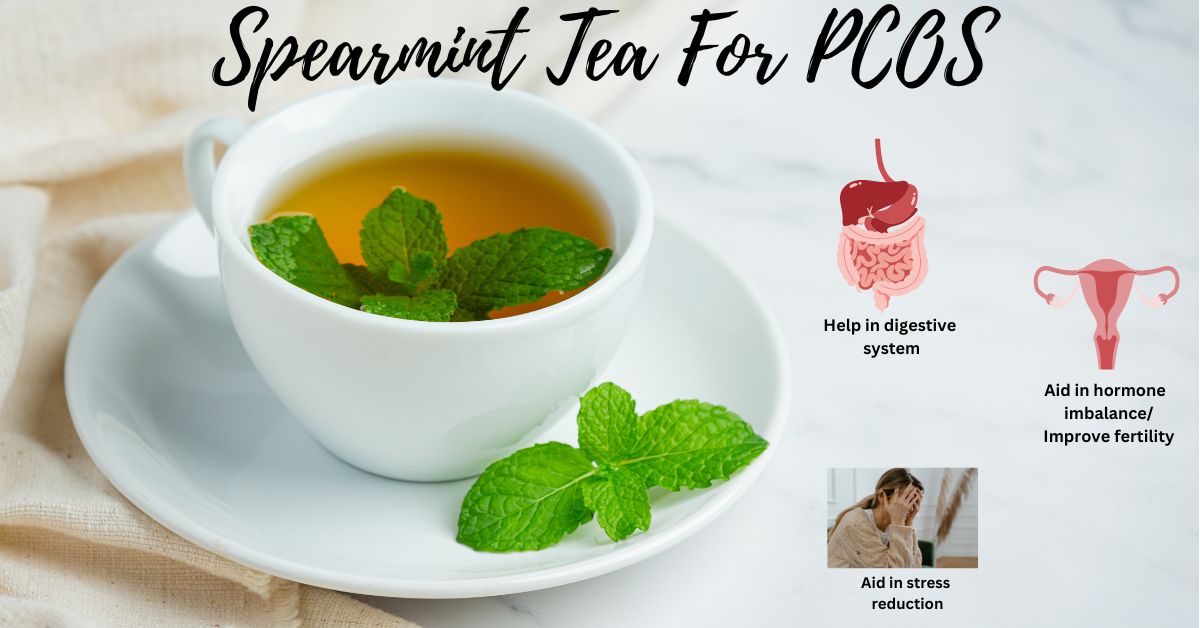 Benefits Of Spearmint Tea For PCOS Does It Actually Works   Spearmint Tea For Pcos 